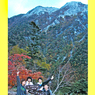 甲斐駒ヶ岳登頂の山旅2005(5)
