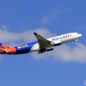 「青空」成田空港.さくらの丘公園で Air Calin A330-202