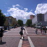 写真エッセイ：東京散歩16：パルテノン大通り１