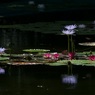 青の時２