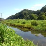 川崎城跡を流れる川（7月16日）