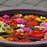 浮き花②