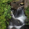 公園の滝