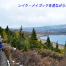 カナダの山旅 D アシニボイン山麓トレッキング(2)：2016(30)