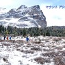 カナダの山旅 D アシニボイン山麓トレッキング(2) ：2016(33)