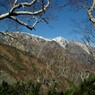 唐松岳