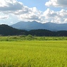 高原山（8月26日）