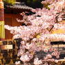 sakura#1