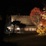 ライトアップ白川郷