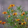 写真句：別れのとき