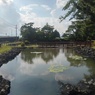 映り込みが奇麗な水面（8月5日）