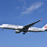 JAL 1029