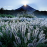 朝の草原で