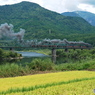 森と水とロマンの鉄道「SLばんえつ物語」