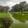 橋がなくなった烏ヶ森公園の池（9月17日）
