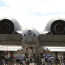 2023 三沢基地航空祭 地上展示 A-10 その2