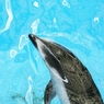 009DSC01220