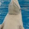 017DSC09611