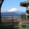 秦野弘法山