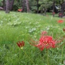 大きな公園に行った