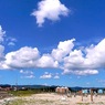 写真エッセイ：砂浜の空：NTW444