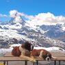 Typical swiss 3