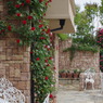 Rose Garden 4
