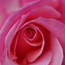 spiral 