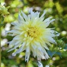 P1090777