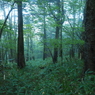P9250011