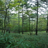 P9250016