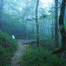P9250028