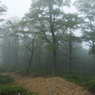 P9250073