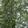 P9250075