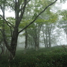 P9250079