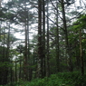 P9250089
