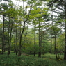 P9250095