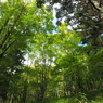 P9250108