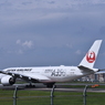 JAL 1053