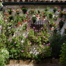 Córdoba,Spain
