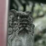 狛犬_須賀神社