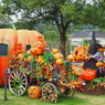 ハッピーハロウィン