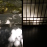 大徳寺　高桐院 1
