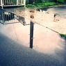 雨のあと