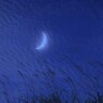 三日月の窓