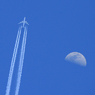 ☮休憩ﾀｲﾑ (815)   月  と ジャンボ機（10,000m)