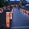 「淺草灯篭祭り」