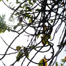 autumn for tokyoites 2023