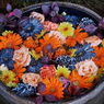 花まいり　10月15日