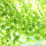 爽やかに